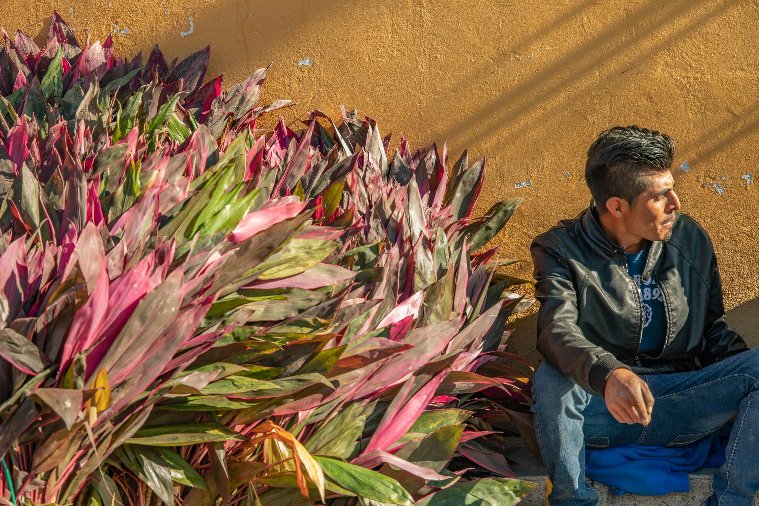 Mexico-Oaxaca-Teotitlan-Flower-Seller
